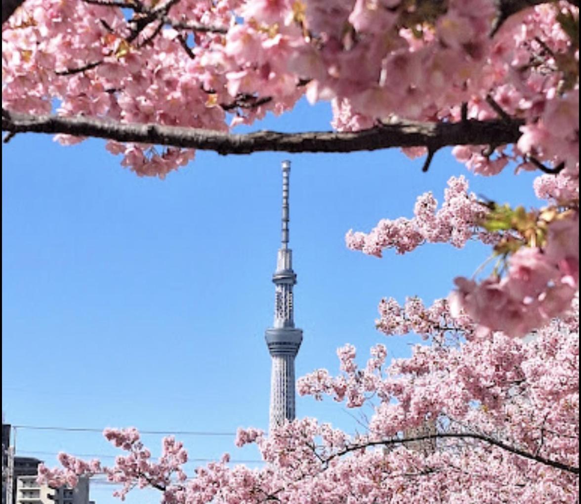 貸切一軒家 東京ヴィラ リバーサイド平井 Tokyo Bagian luar foto